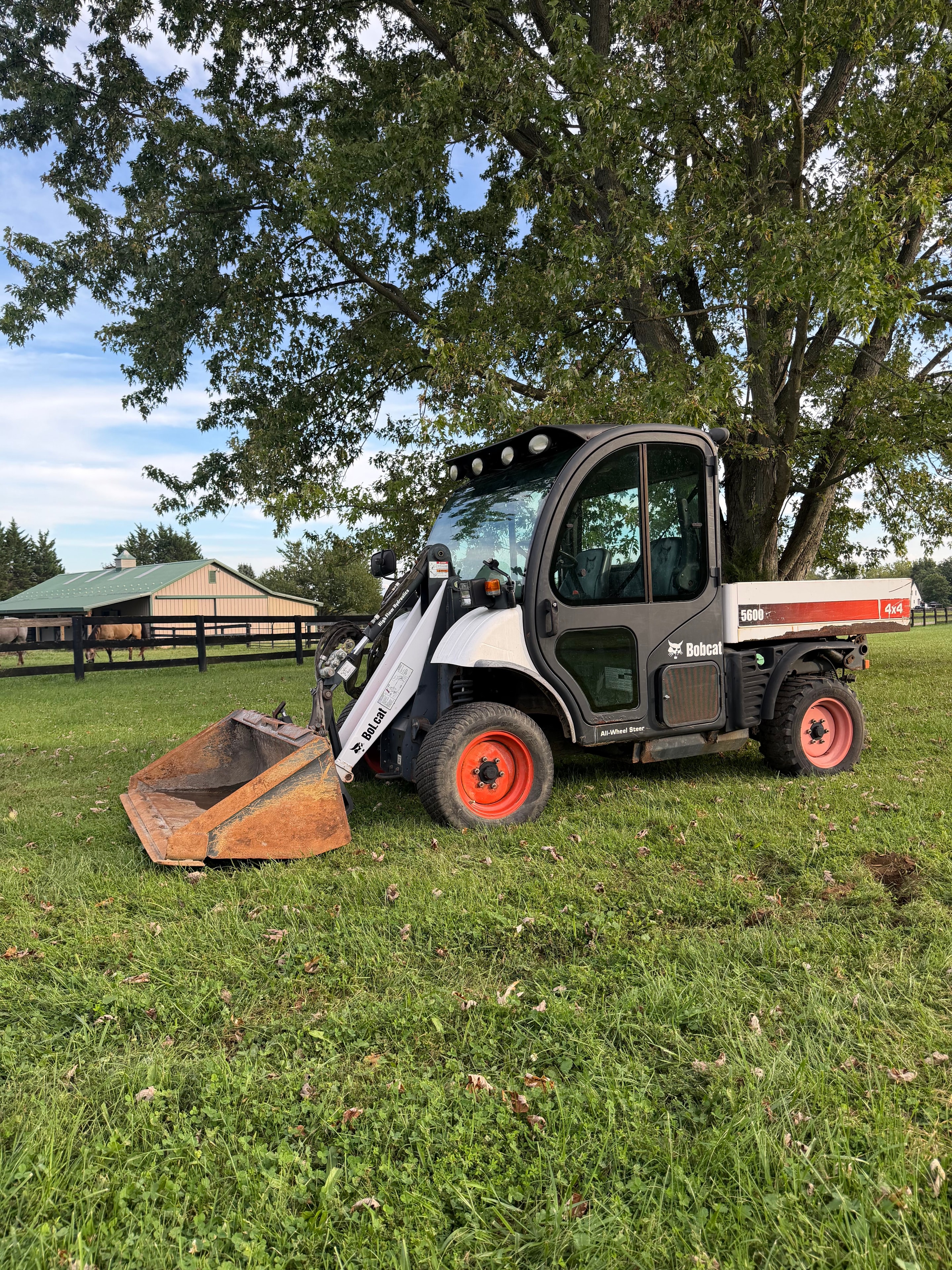 2009 Bobcat 5600 Toolcat